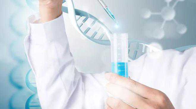 第三代试管可以选性别吗？辅助生育性别选择的成功率与条件解读