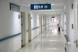 借卵供卵怎么收费？2025最新价格构成明细与省钱攻略